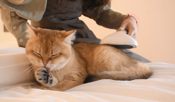 完成品スタンダードドライ、パラシュート、テレストリアルその他セット JR 223-2000系近郊電車増結セット ｜製品情報｜製品検索｜鉄道